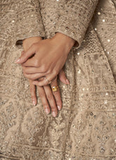 Fully Embroidered Gown in Beige Colour